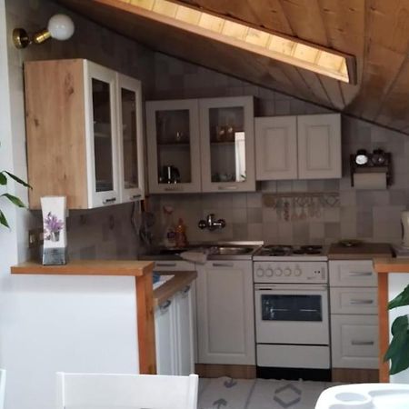 Apartment Gaudeamus Umag Zewnętrze zdjęcie