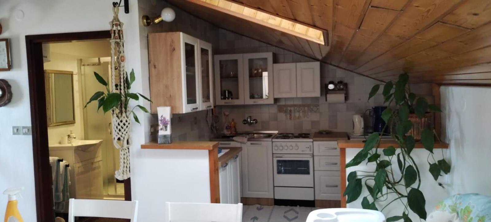 Apartment Gaudeamus Umag Zewnętrze zdjęcie