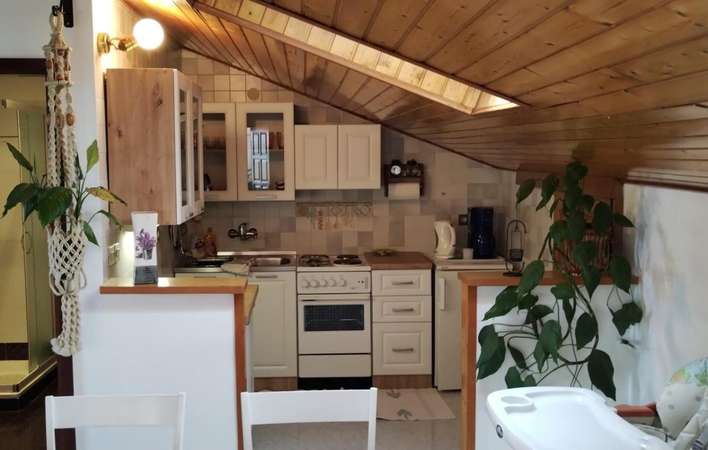 Apartment Gaudeamus Umag Zewnętrze zdjęcie